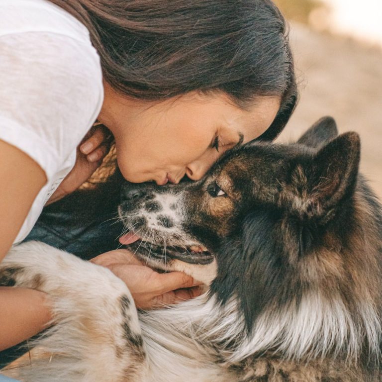Hundefotografie in Geislingen an der Steige und Göppingen