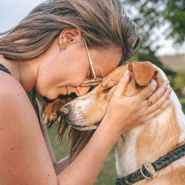 Hundefotografie in Geislingen an der Steige und Göppingen