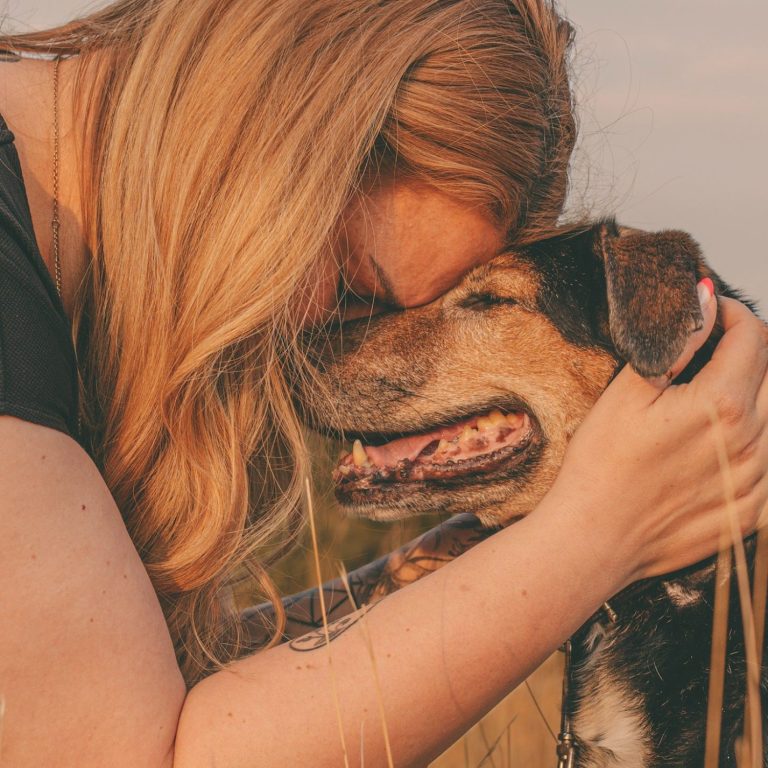 Hundefotografie in Geislingen an der Steige und Göppingen