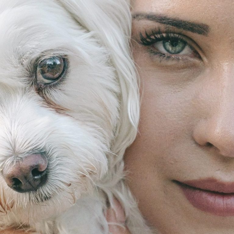Hundefotografie in Geislingen an der Steige und Göppingen